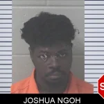 Joshua Ngoh mugshot