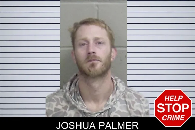 Joshua Palmer mugshot – Wayne County , Georgia Joshua Palmer