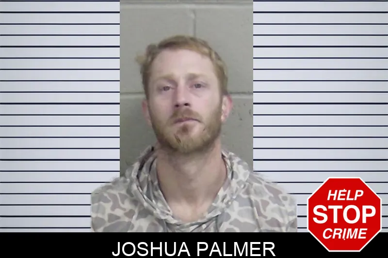 Joshua Palmer mugshot – Wayne County , Georgia Joshua Palmer mugshot