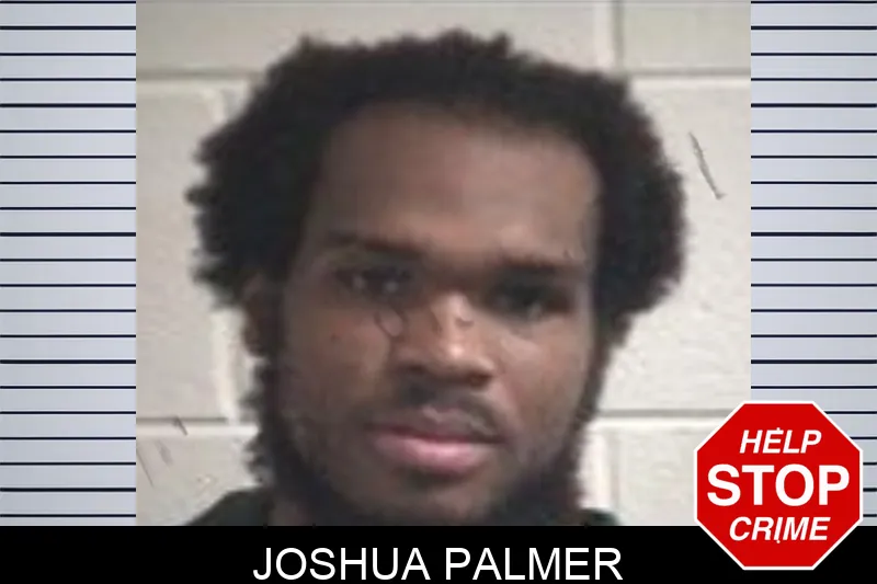 Joshua Palmer mugshot
