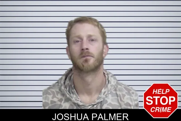 Joshua Palmer