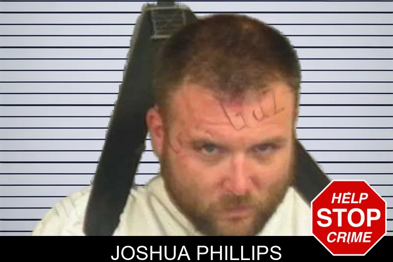 Joshua Phillips mugshot
