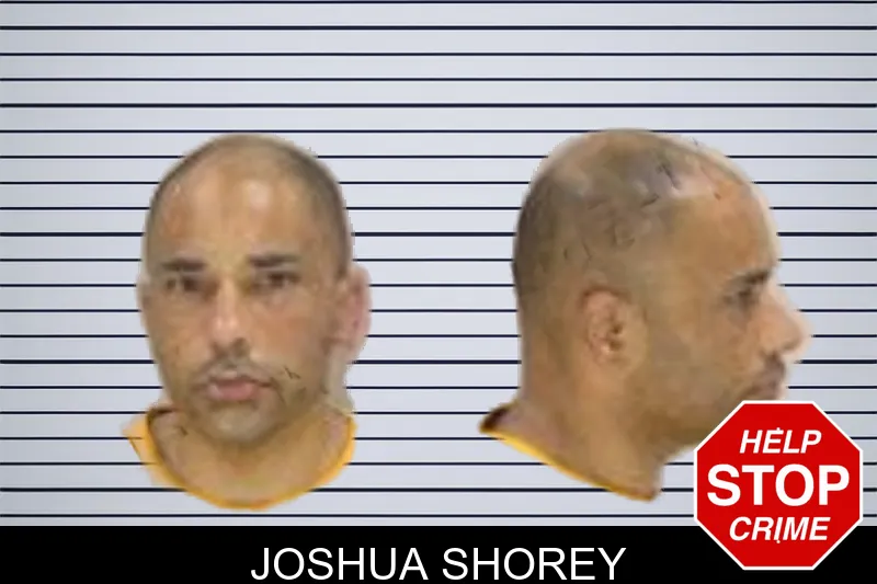 Joshua Shorey mugshot