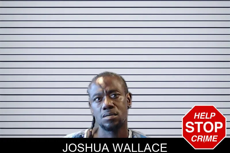 Joshua Wallace mugshot