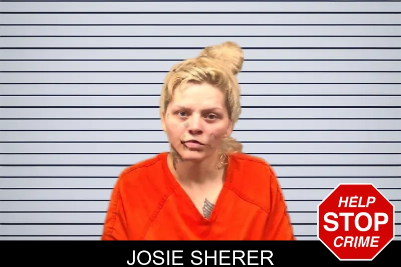 Josie Sherer mugshot – Bleckley County , Georgia Josie Sherer mugshot