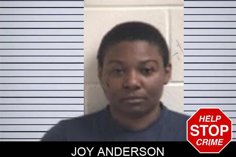 Joy Anderson mugshot – Henry County , Georgia Joy Anderson mugshot