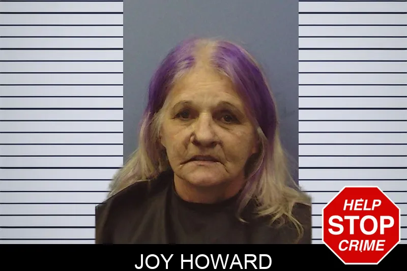 Joy Howard mugshot – Chattooga County , Georgia Joy Howard mugshot