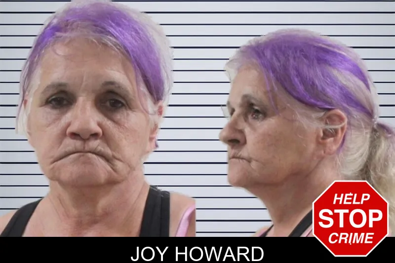 Joy Howard mugshot