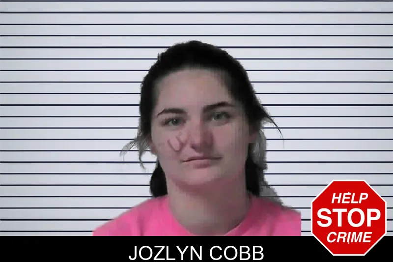 Jozlyn Cobb mugshot