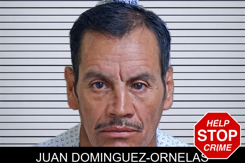 Juan Dominguez-Ornelas mugshot
