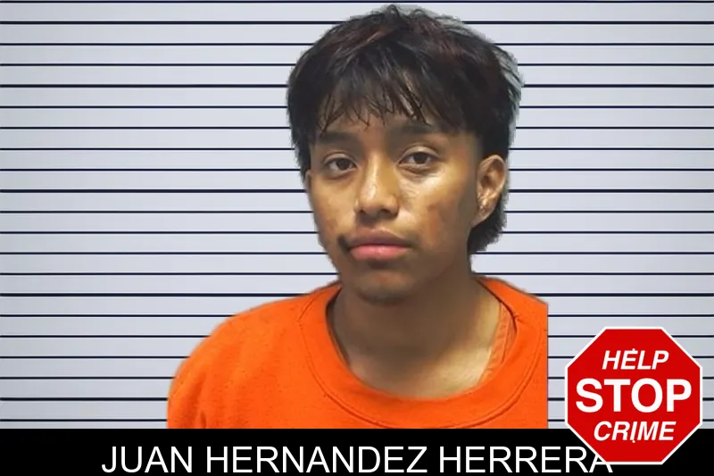 Juan Hernandez Herrera mugshot