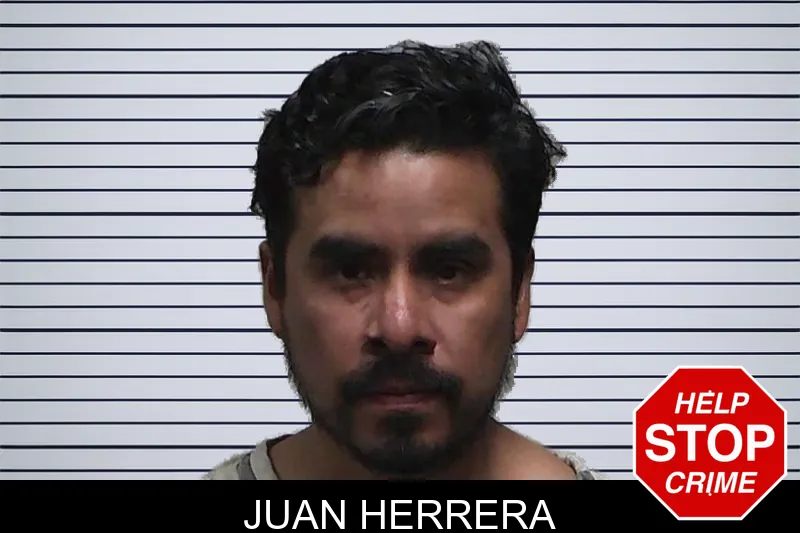 Juan Herrera mugshot – Tift County , Georgia Juan Herrera mugshot