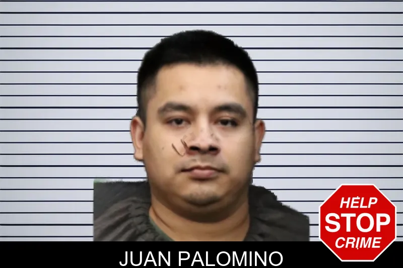 Juan Palomino mugshot