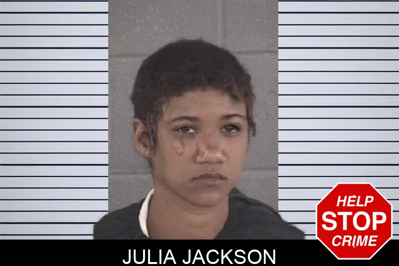 Julia Jackson mugshot – Spalding County , Georgia Julia Jackson mugshot