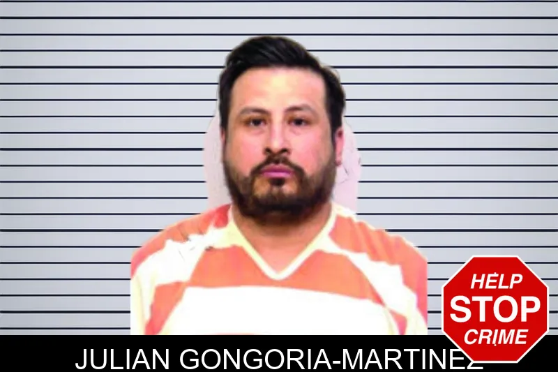 Julian Gongoria-Martinez mugshot – Bartow County , Georgia Julian Gongoria-Martinez mugshot