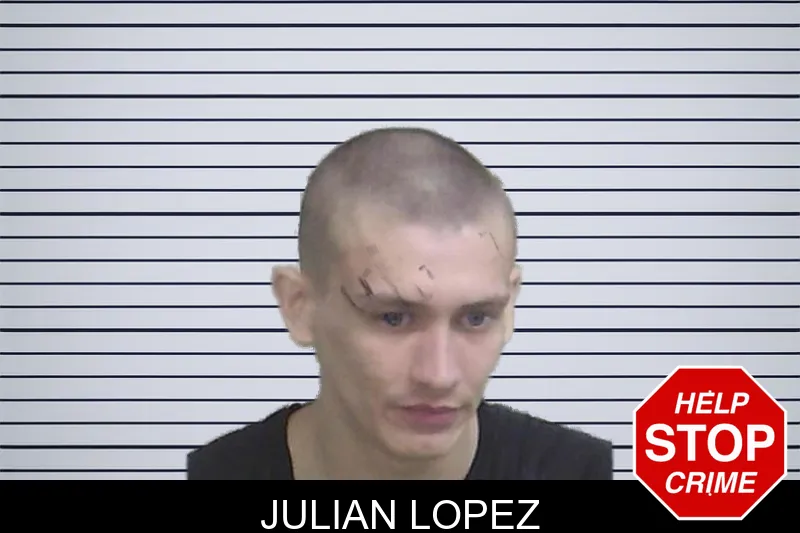 Julian Lopez mugshot – Wayne County , Georgia Julian Lopez mugshot