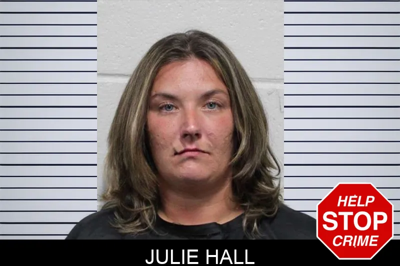 Julie Hall mugshot
