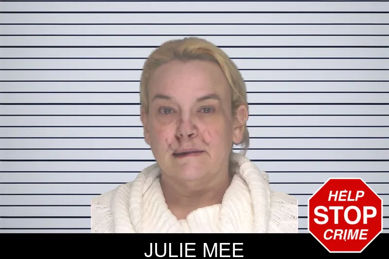 Julie Mee mugshot