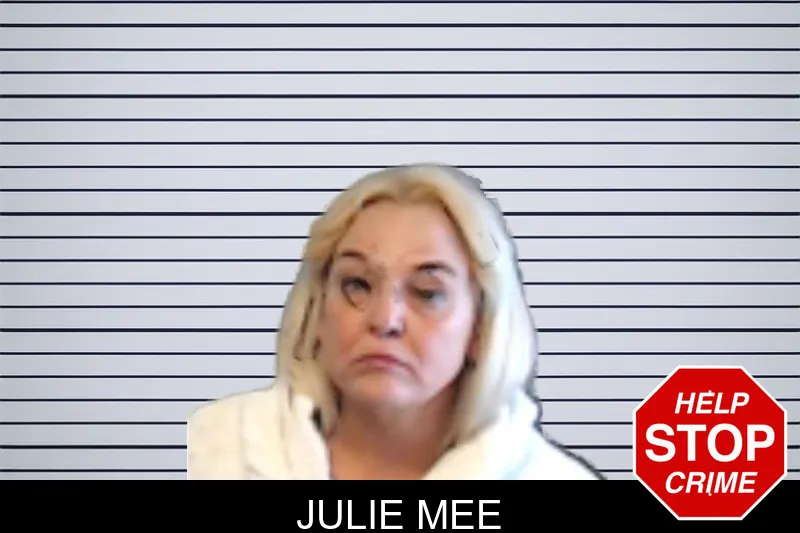 Julie Mee mugshot