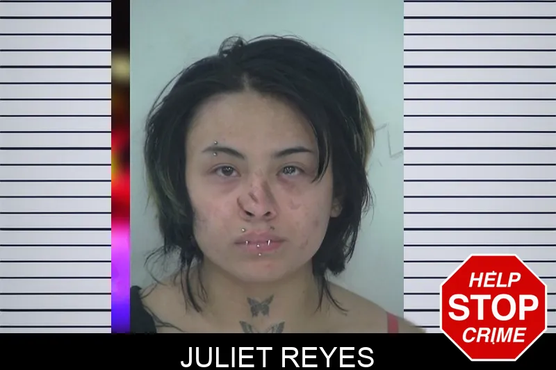 Juliet Reyes mugshot