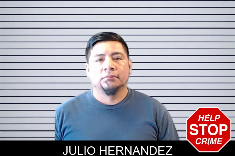Julio Hernandez mugshot