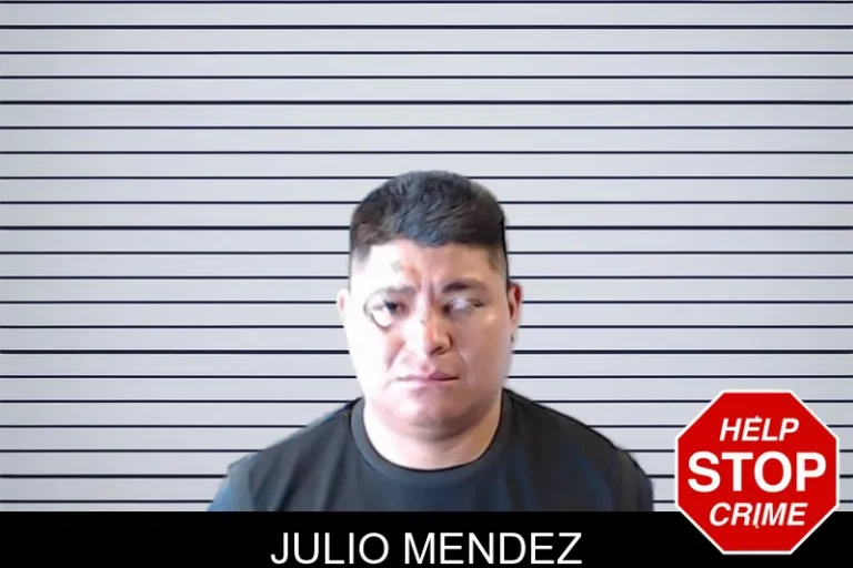 Julio Mendez