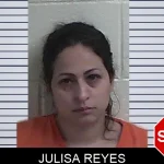 Julisa Reyes mugshot – Fannin County , Georgia Julisa Reyes mugshot