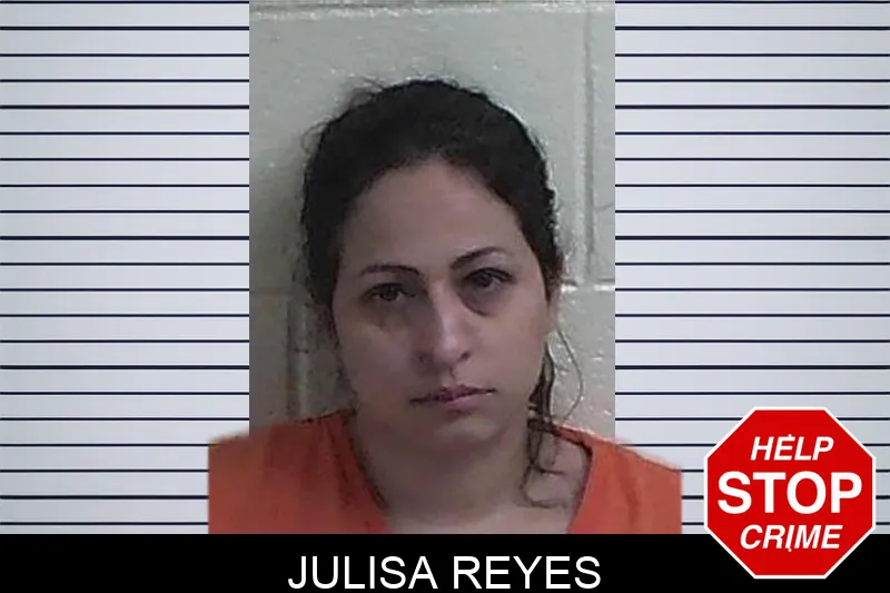 Julisa Reyes mugshot