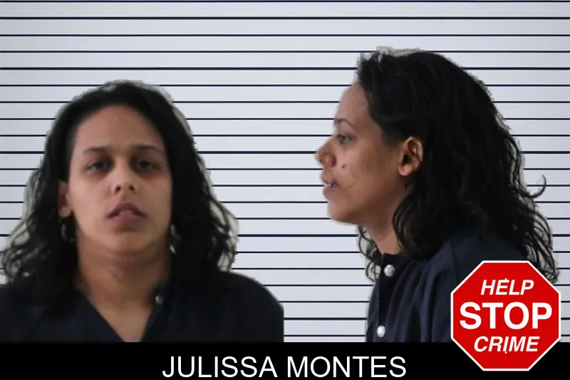 Julissa Montes mugshot