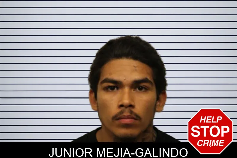 Junior Mejia-Galindo mugshot