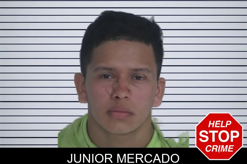 Junior Mercado mugshot