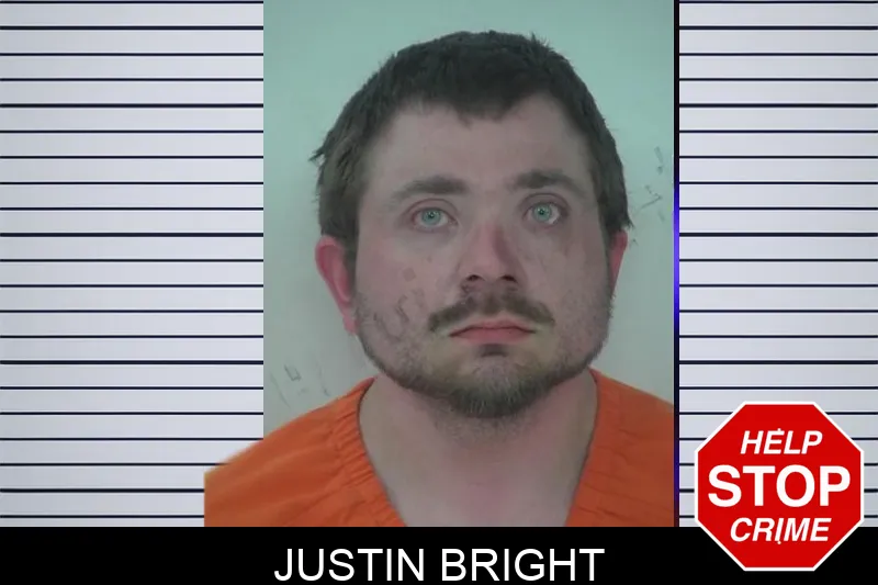 Justin Bright mugshot – Fayette County , Georgia Justin Bright mugshot