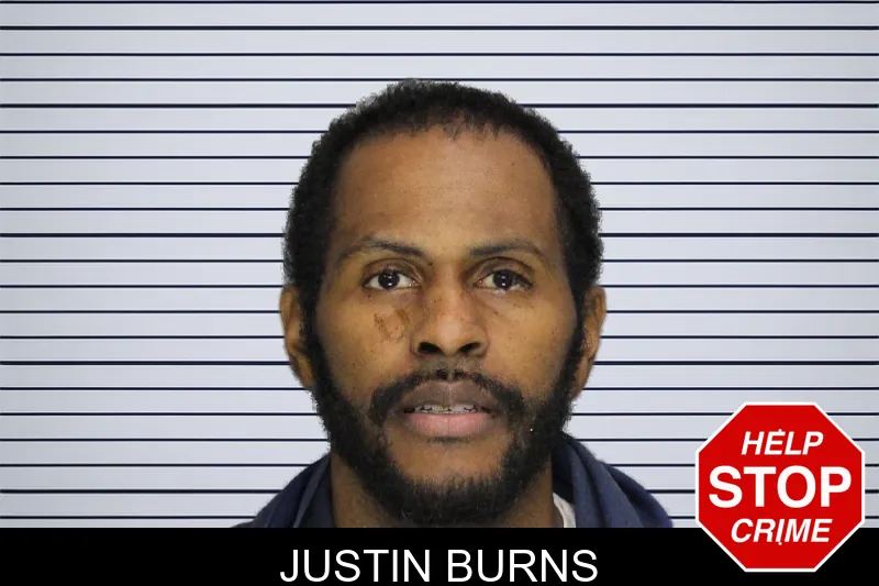 Justin Burns mugshot – Cobb County , Georgia Justin Burns mugshot