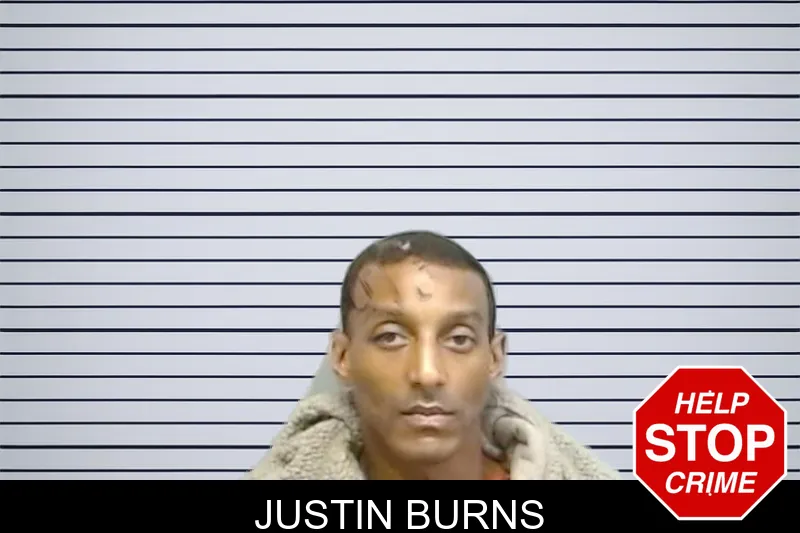 Justin Burns mugshot – Fulton County , Georgia Justin Burns mugshot