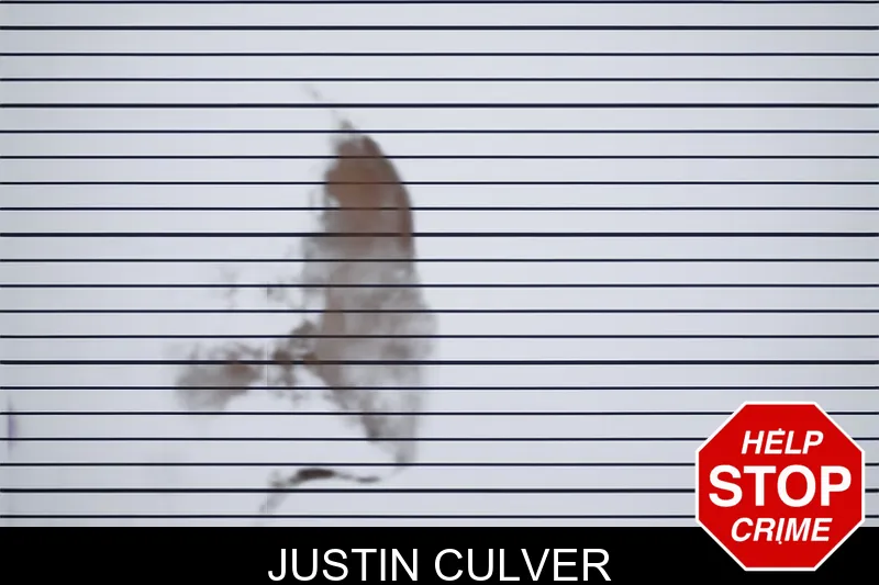 Justin Culver mugshot