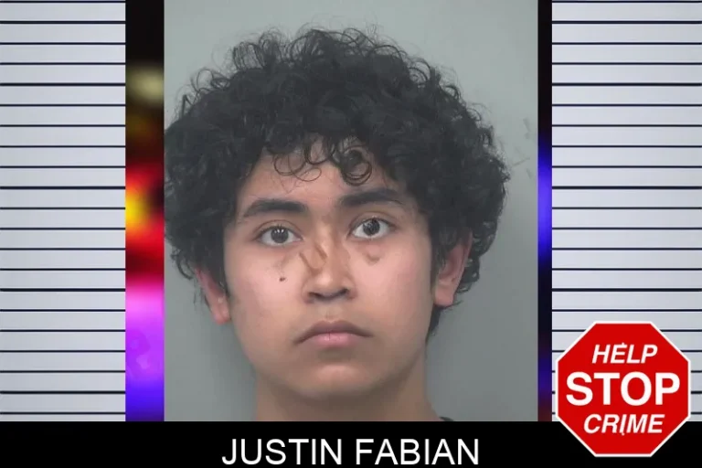 Justin Fabian mugshot – Gwinnett County , Georgia Justin Fabian
