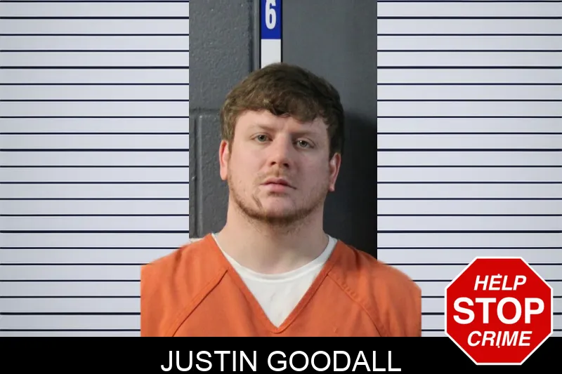 Justin Goodall mugshot – Lumpkin County , Georgia Justin Goodall mugshot