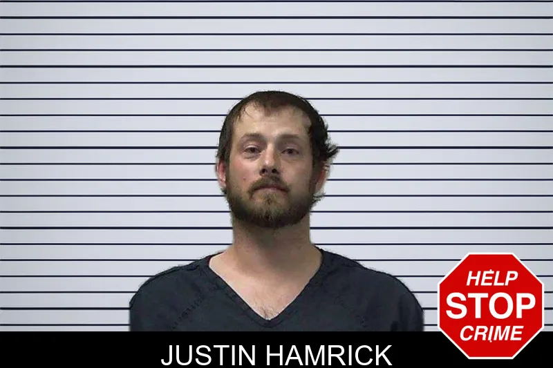 Justin Hamrick mugshot