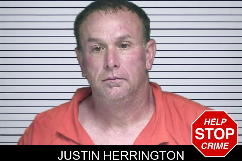 Justin Herrington mugshot