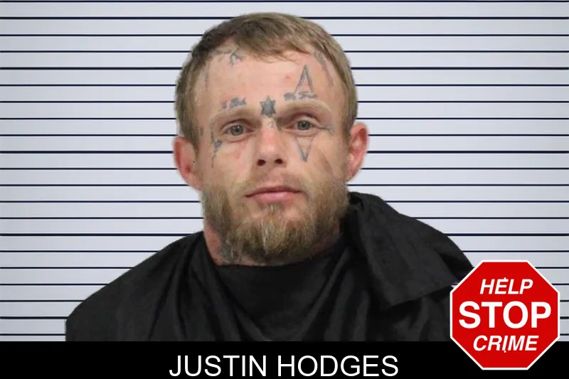 Justin Hodges mugshot