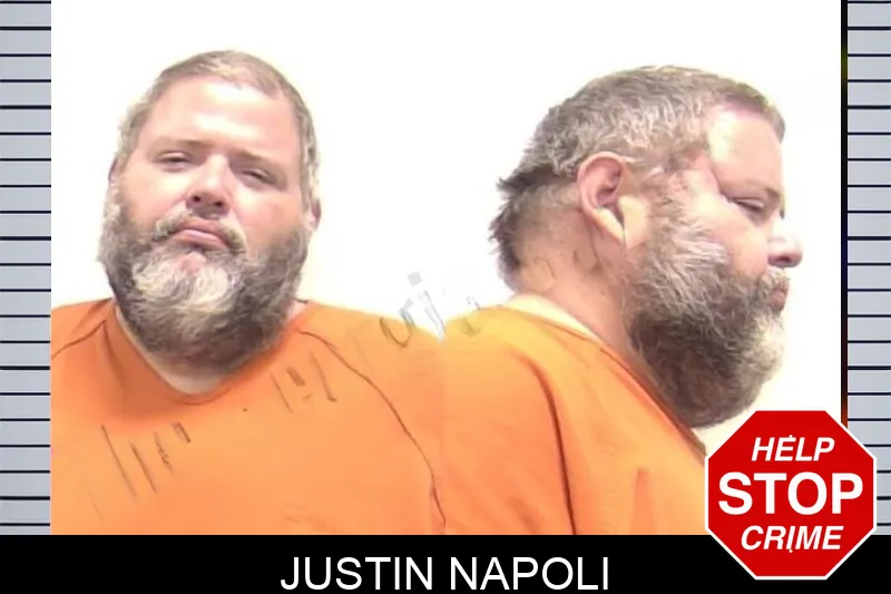 Justin Napoli mugshot