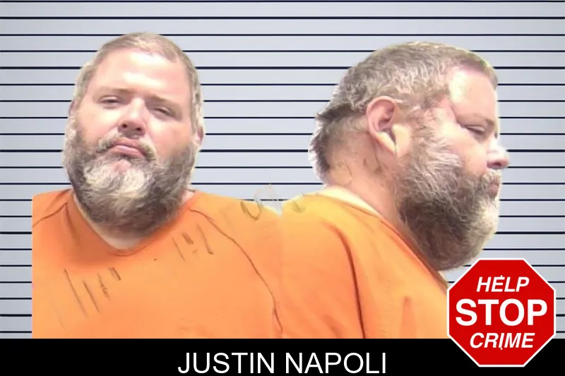 Justin Napoli mugshot