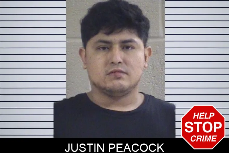Justin Peacock mugshot – Whitfield County , Georgia Justin Peacock mugshot