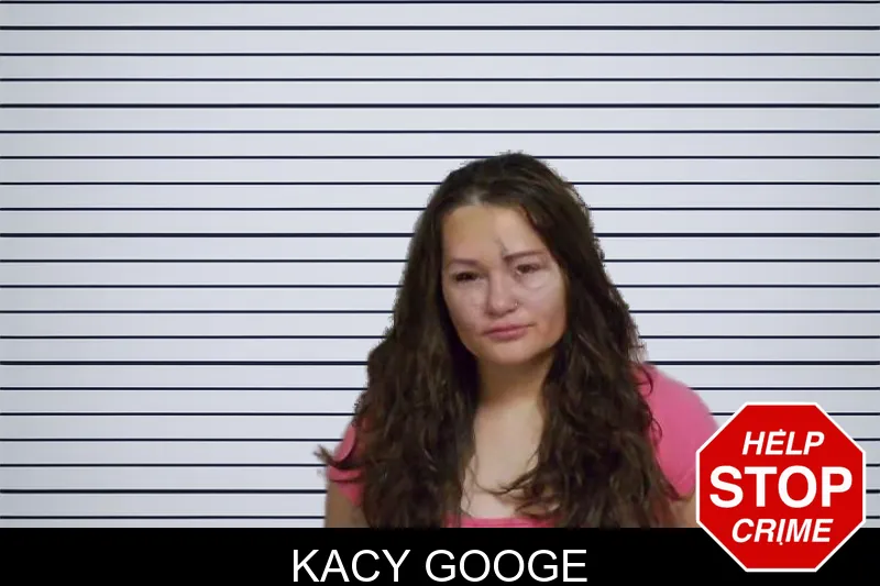 Kacy Googe mugshot – Candler County , Georgia Kacy Googe mugshot