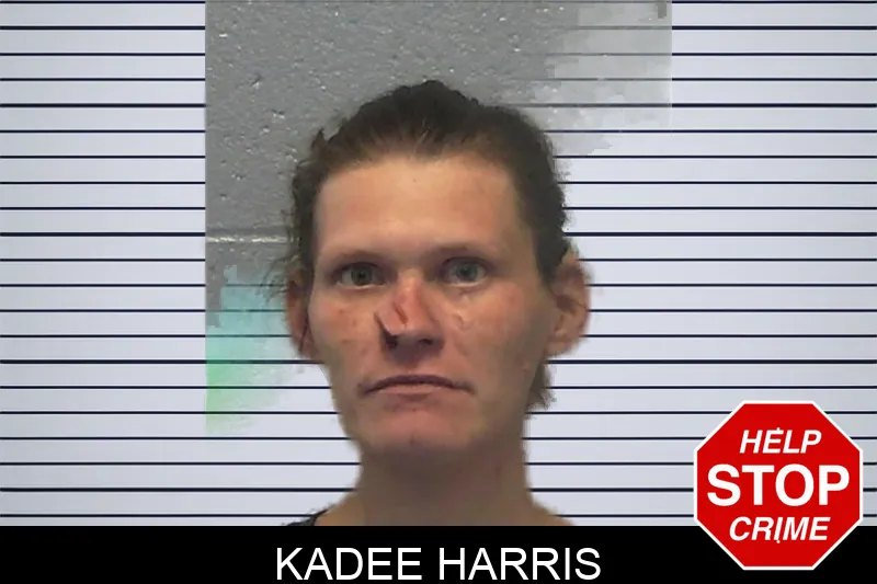 Kadee Harris mugshot