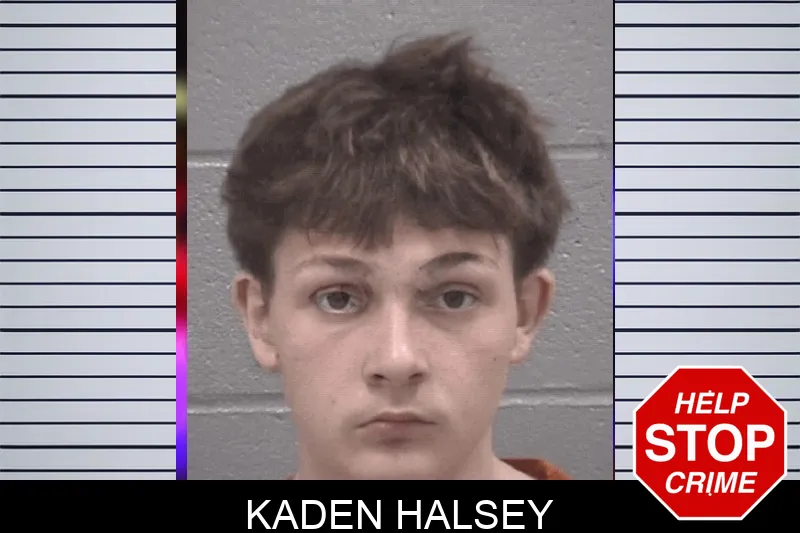 Kaden Halsey mugshot – Columbia County , Georgia Kaden Halsey mugshot