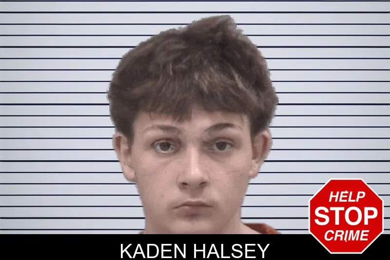 Kaden Halsey mugshot