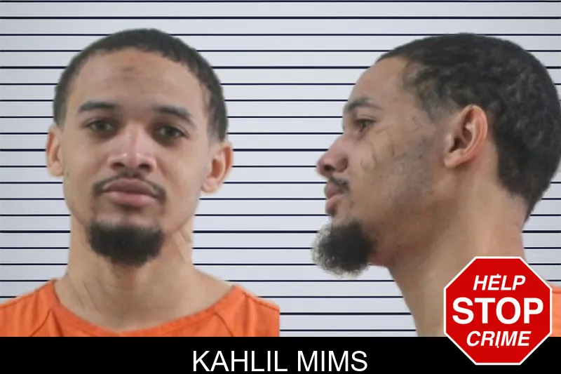 Kahlil Mims mugshot – Houston County , Georgia Kahlil Mims mugshot