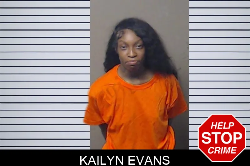 Kailyn Evans mugshot – DeKalb County , Georgia Kailyn Evans mugshot