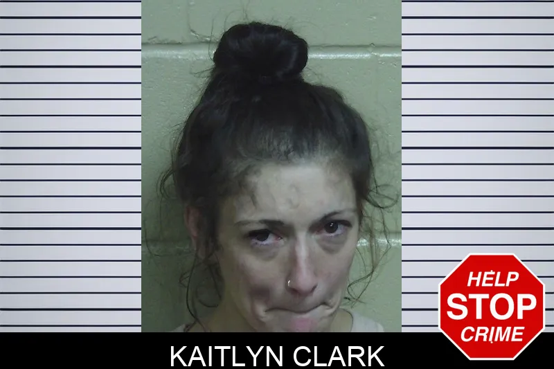 Kaitlyn Clark mugshot